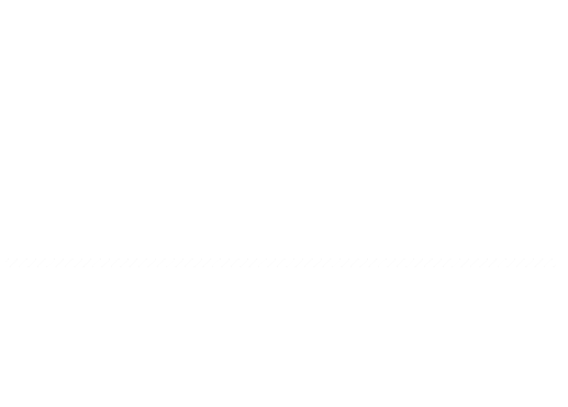 ENGINEER PRIDE